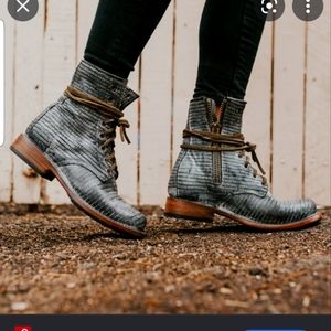 Freebird Blue Snake Manchester